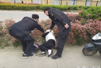 市民称草丛发现大熊猫，警察出警才知是醉酒女
