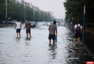 暴雨过后 市民组团捞车牌 每副百元卖车主