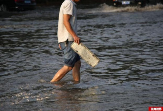 暴雨过后 市民组团捞车牌 每副百元卖车主