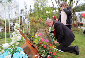 外国夫妇飞抵中国，面对墓碑泣不成声