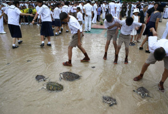 泰王65岁生日 民众放生千只海龟