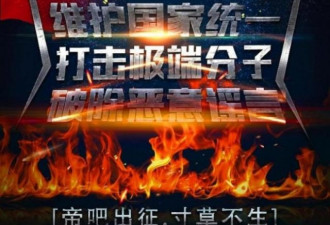 中国网民帝吧组织攻击维吾尔人权团体脸书页面