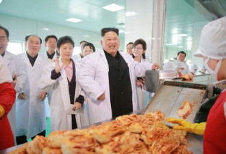 朝鲜金正恩下令广设泡菜厂，陷入了重重困难