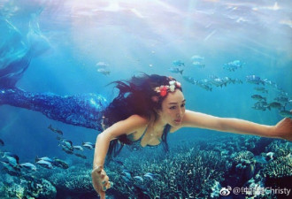 钟丽缇张伦硕水下拍大片 变身人鱼网友惊呼太美
