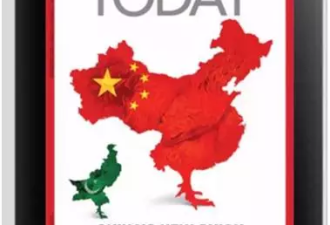 印媒称中国为获印军情报 对其军官使用美人计