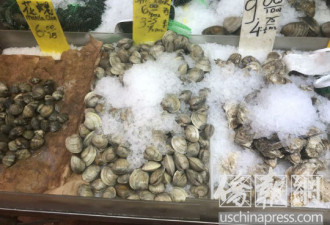 华裔男带鲜活蛤蜊返美遭查获，后果有多严重？