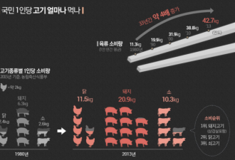 吃不起肉的韩国人,肉类消费难道比中国还多?