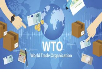 美大使: 中国已能登月 却与WTO最穷国共享条款