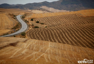 西班牙遭遇严重干旱 土地龟裂触目惊心