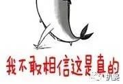 日本一线女星片酬曝光 收入低的让你不敢想象