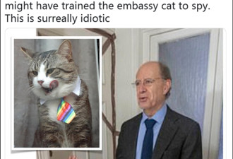 厄瓜多尔大使：你监视我们 阿桑奇的猫：？？