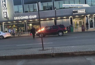 加拿大市中心街头 男子朝路过汽车淋汽油点火