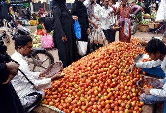 印度通胀大幅反弹 罪魁祸首竟是西红柿