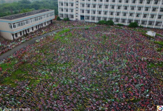 上海出台最严共享单车限制令 停止新车投放