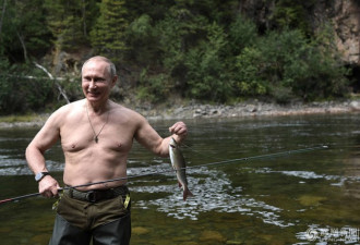 硬汉！普京西伯利亚度假 光膀子下水捕鱼