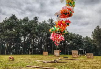 全中国最无聊的人 吹两万个气球只为放飞一头猪