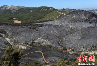 法国火灾后绿林变荒山 巨大灰色废墟令人唏嘘