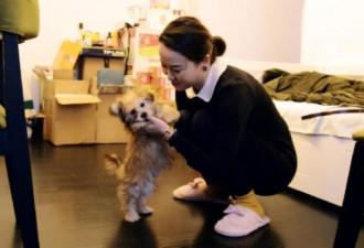 这位上海姑娘花费38万元，克隆了自己的爱犬