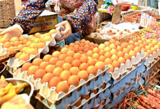 香港检出欧洲“毒鸡蛋” ：受污染鸡蛋全下架