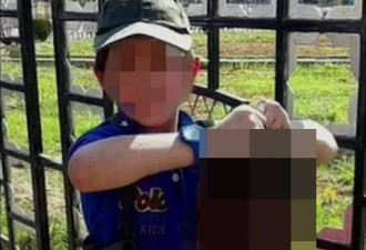 举着斩首头颅的ISIS小男孩想回澳洲！网友却说
