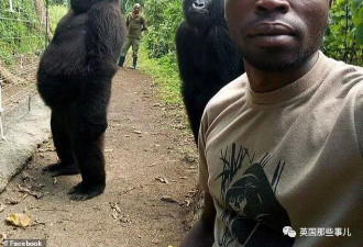 黑猩猩的自拍火了，背后是一群人的生死守护