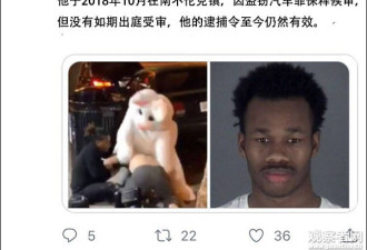 路见不平“复活节兔子”火了，真实身份是逃犯