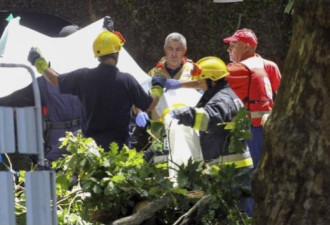 惨剧!葡萄牙马德拉岛老树倒塌11人被砸死