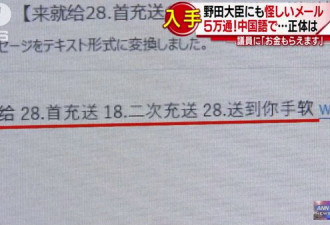 日本总务大臣1天内就收到5万封中文邮件