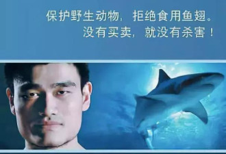 呼吁中国人少吃肉…这家NGO真在保护环境吗？