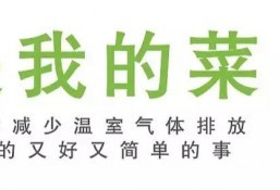 呼吁中国人少吃肉…这家NGO真在保护环境吗？