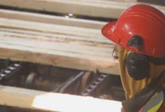 美国房市不景气让加拿大木材公司停产