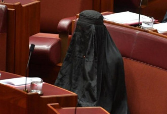 澳洲女参议员竟然穿这个进议会 遭炮轰