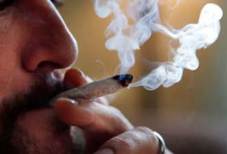 合法化后，加拿大首次用大麻的人增多
