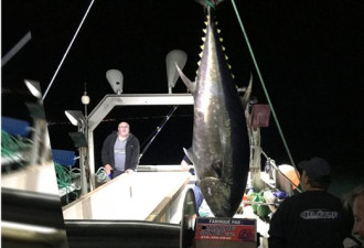 加拿大年轻女船长捕到三百公斤金枪鱼