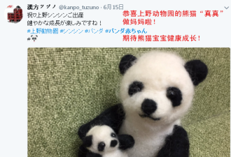 这是真爱！日本人给熊猫宝宝起了32万个名字
