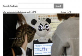 这是真爱！日本人给熊猫宝宝起了32万个名字