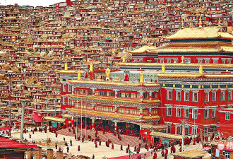 中国最大藏传佛学院 将沦为中共党校