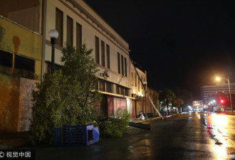 实拍最强飓风登陆美国 大树被刮倒
