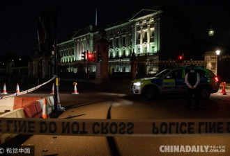 伦敦白金汉宫外男子涉持刀袭警 2名警察受轻伤