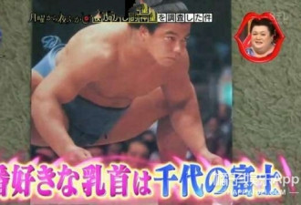 日本小男孩通过看乳头认出所有的相扑运动员