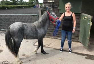英国一8孩子母亲惹公愤：只因用福利金买马
