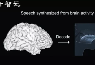 华裔科学家成功解码脑电波，AI从大脑合成语音