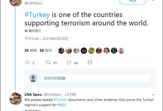 利比亚国民军：土耳其在世界各地支持恐怖主义