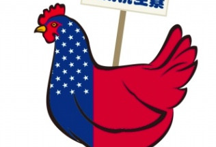麦当劳将会停用抗生素鸡，没有中国！？