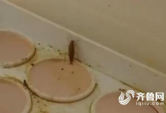 幼儿园被突击检查：冰箱里爬蟑螂 挂面存3年