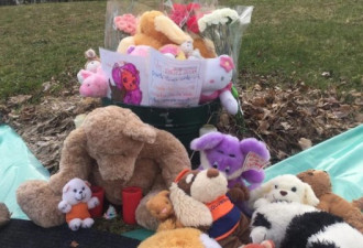魁北克政府对一名7岁女孩的死亡进行调查