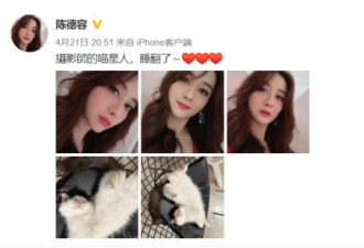 44岁陈德容认不出！大双眼皮超高鼻梁变网红脸