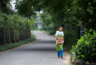 11岁搬砖男孩已退学:学校教育不好 自己可以学
