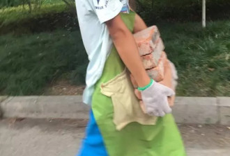 11岁搬砖男孩已退学:学校教育不好 自己可以学