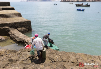 中国人的一天:怒海捡螺人,一颗海螺一条命